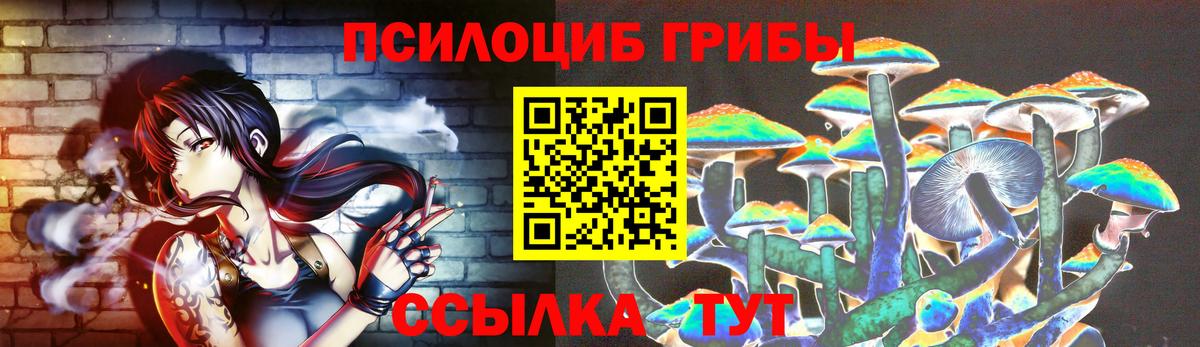 даркнет сайт  Псилоцибиновые грибы прущие грибы  Вход с VPN  Нефтекамск  Псилоцибиновые грибы мицелий 